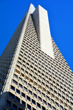 Downtown San francisco and the Transamerica Pyramid skyscraper in San Francisco, USA. It is the tallest building in San Francisco with height of 853 ft (260 m).