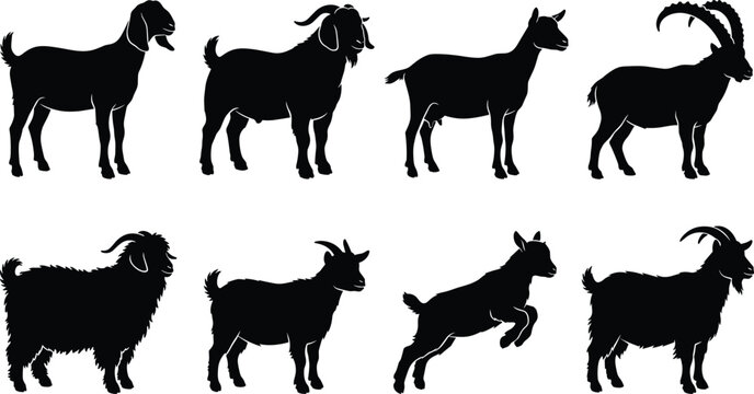 Set of black goat silhouettes featuring various breeds, ages, and poses for agricultural and farm design projects.