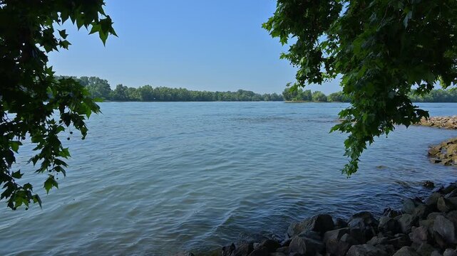 Ruhiges Flussufer mit B&auml;umen im Vordergrund, die das klare Wasser und den blauen Himmel umrahmen, Rhein, Eltville am Rhein, Rheingau, Hessen, Deutschland 
