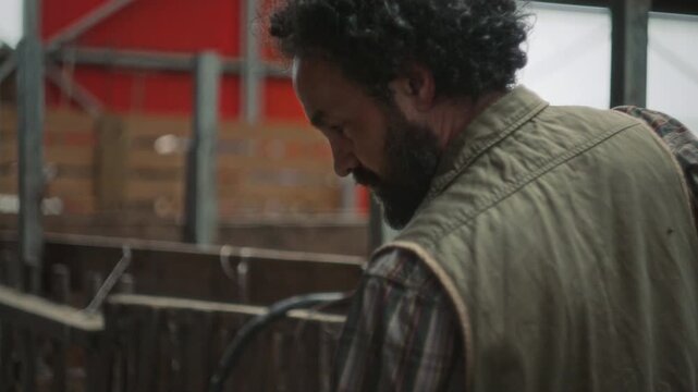 Curly-haired bearded male farmer putting hay into animal stall with pitchfork during daily maintenance of agricultural barn