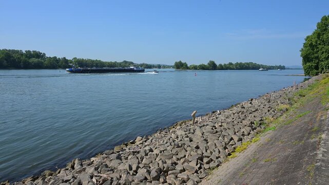 Ein Frachtschiff f&auml;hrt auf einem ruhigen Fluss entlang eines steinigen Ufers unter sonnigem Himmel, Rhein, Eltville am Rhein, Rheingau, Hessen, Deutschland