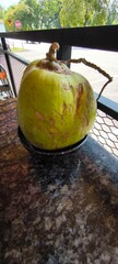 Fresh green coconut in black bowl on marble table, outdoor café setting with natural tropical background. © Mohd Azlan