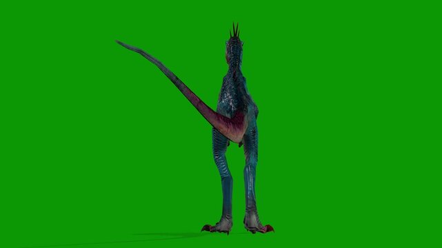 Dinosaur Raptor idle Scene From Back Side 3D Render Animation on Green Screen