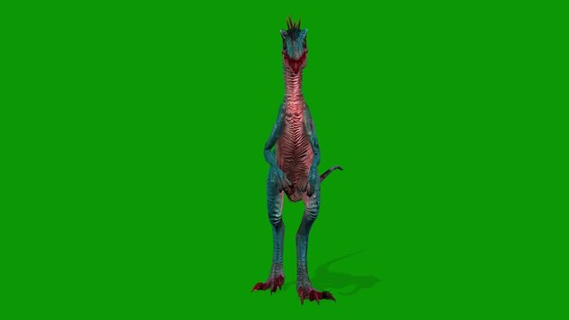 Dinosaur Raptor idle Scene From Front Side 3D Render Animation on Green Screen
