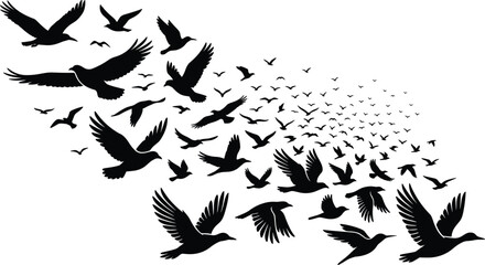 Naklejka premium Flock of birds flying in sky black silhouette vector illustration featuring migratory wild birds seagull pigeon and raven silhouettes