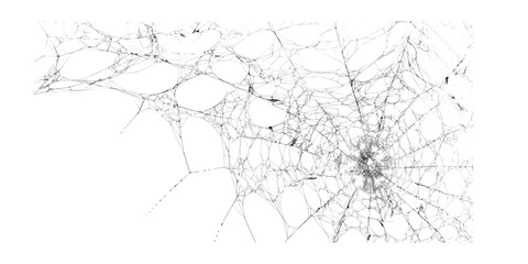 Fototapeta premium Full Width Spider Web Sketch Illustration, Hand Drawn Cobweb Line Art with Radial Cluster Isolated on White Background, Black and White Ink Drawing of Connecting Web Threads for Halloween Design