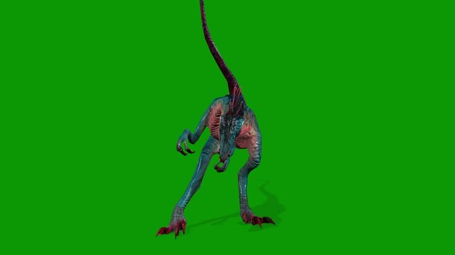 Dinosaur Raptor Eating  Scene From Front Side 3D Render Animation on Green Screen