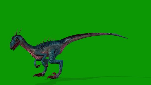 Raptor Catching Food Scene Left Side 3D Render Animation on Green Screen