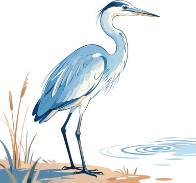 Created on Hand drawn Heron in blue and warm white outdoors animal bird with vector art on white background