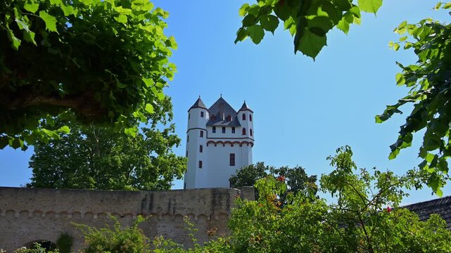 Ein Burgturm hinter &uuml;ppiger gr&uuml;ner Vegetation unter einem blauen Himmel, Kurf&uuml;rstliche Burg Eltville, Eltville am Rhein, Rheingau, Hessen, Deutschland