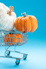 Knitted pumpkins in shopping cart for fall shopping concept © Agustin