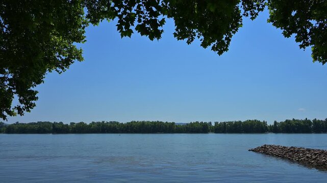 Blick auf einen breiten Fluss mit bewaldetem Ufer und klarem Himmel, Rhein, Geisenheim, Rheingau, Hessen, Deutschland 