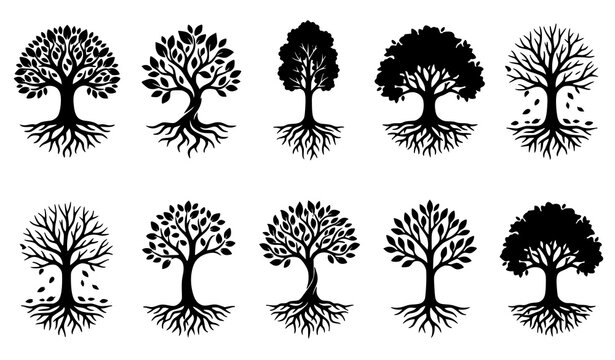 42. Decorative Tree Silhouette Collection with Detailed Roots Isolated on White Background Vector Illustration Set