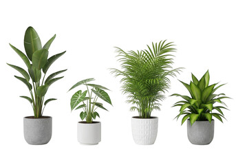 Fototapeta premium Collection of various indoor house plants in pots isolated on transparent background