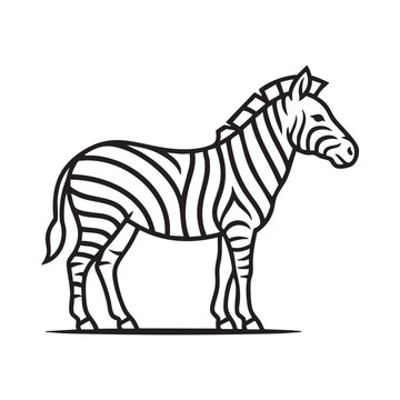 A simple black and white line art illustration of a standing zebra isolated on a white background