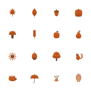 Autumn icon set - 16 orange and brown duotone vector icons. Maple leaf, oak leaf, acorn, pumpkin, mushroom, wheat, apple, sunflower, squirrel and more flat fall harvest symbols with gradient.