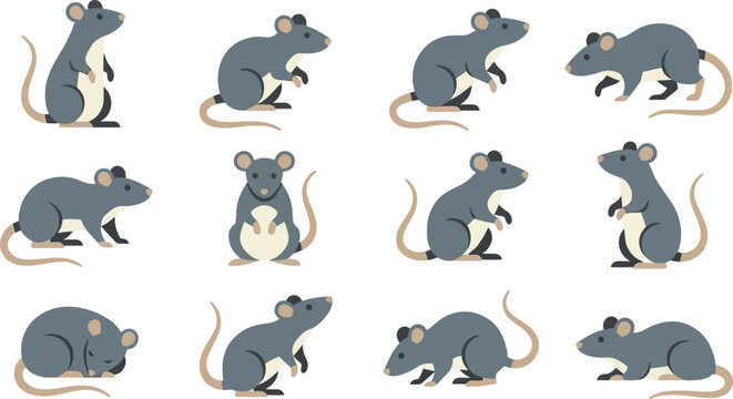 Collection of flat vector icons depicting grey rats in diverse poses isolated on a clean white background design