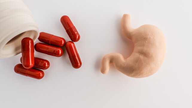 Red capsules spill from a bottle next to a model of the human stomach