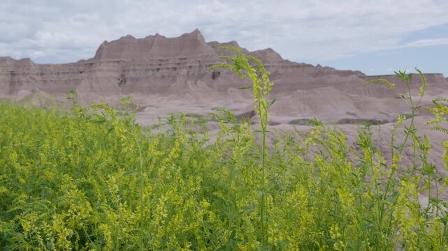 Overlook of dramatic formations at Badlands National Park