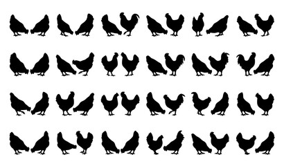 Domestic Chicken and Rooster Silhouette Icon Set Featuring Farm Poultry Hens and Birds in Various Poses for Agriculture Livestock and Food Graphic Vector Designs © MdSaidi
