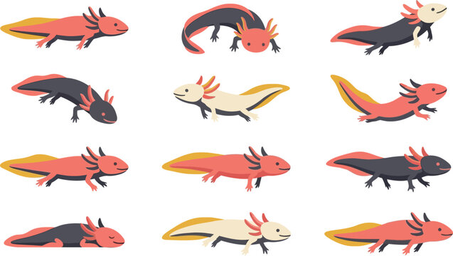 Detailed flat vector collection of twelve axolotl movement poses showing swimming and resting behaviors in a set