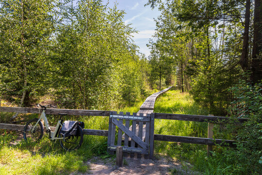 Boardwalk entrance through peaceful forest meadow near Hoogersmilde, Drenthe, Netherlands on a sunny day