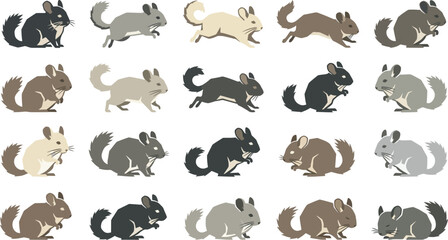 Obraz premium Flat vector collection of chinchillas in various dynamic poses including jumping, sitting, and standing positions.