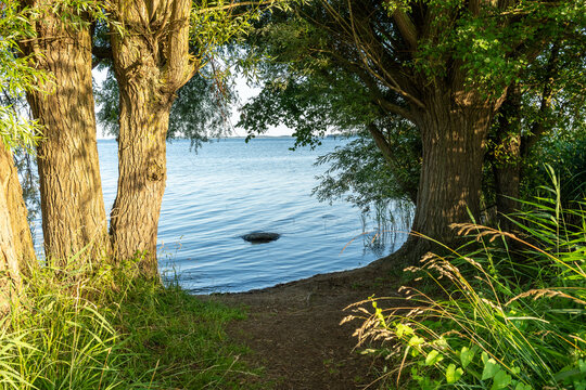Badestelle an der M&uuml;ritz bei dem Sembzin