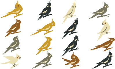 Obraz premium Set of flat vector illustrations featuring colorful cockatiel parrots in various poses and artistic color palettes.