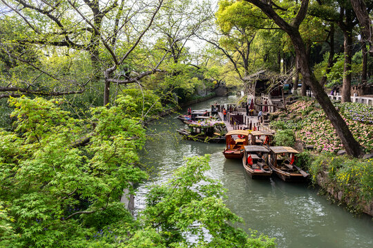 Tour boats moored along tree-lined Tiger Hill canal in Suzhou, China, spring