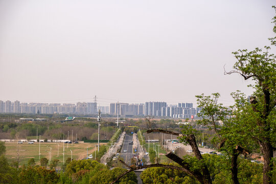 Road past spring trees toward hazy apartment towers view from Tiger Hill, Suzhou, China