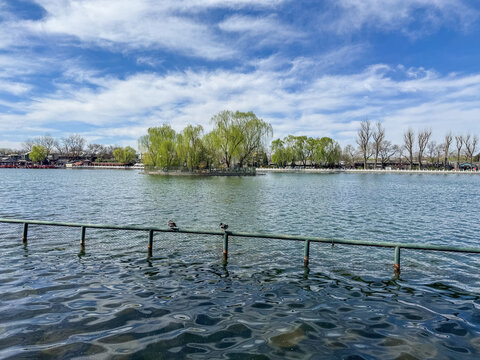 Sunny spring lakeside panorama with willow trees at Shichahai in Beijing China under blue sky
