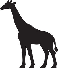Fototapeta premium Elegant black giraffe silhouette standing tall with long neck, silhouette