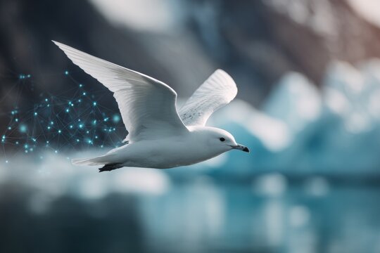 Glimpses of frozen beauty: a gull's dance near the greenland glacier. Internet connection illustration. Aqua waters meet ivory wings on blosseville coast&acirc;&euro;&trade;s glacial front. Online network map.