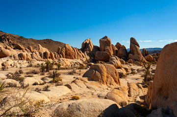 Joshua Tree National Park in California, USA © IRINA