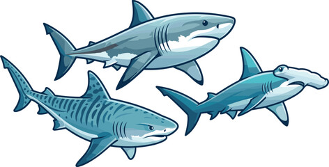 Fototapeta premium Realistic Shark Species Collection Featuring Great White Tiger and Hammerhead Vector Illustration