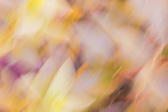 Abstract motion blur fine art background in earth tones