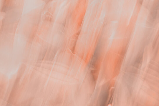Abstract earth-tone motion blur fine art background texture