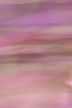 Abstract motion blur fine art background in earth tones