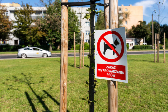 No Dogs Allowed Sign In Public Park Safety Regulation And Municipal Rules Editorial