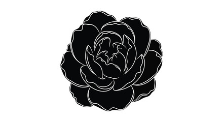 Obraz premium Black rose silhouette flower petal bloom botanical