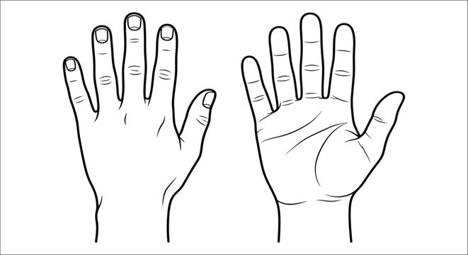 Line drawing of two human hands palm side and back side with visible finger details