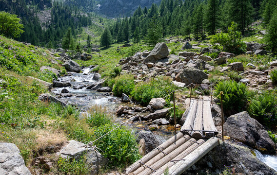 Wooden log bridge crossing a rushing mountain stream in a rocky, green valley, surrounded by lush forest and high peaks, symbolizing adventure and exploration in pristine nature