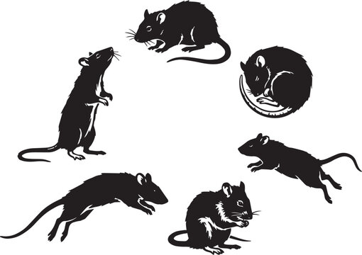 A set of rats. Hand drawn vector illustration