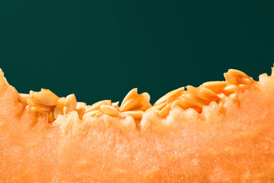Close-up of fresh cantaloupe melon slice with seeds