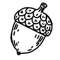 Hand Drawn Acorn Doodle, Cute Autumn Nut Outline Illustration, Black and White Fall Nature Clipart © esra