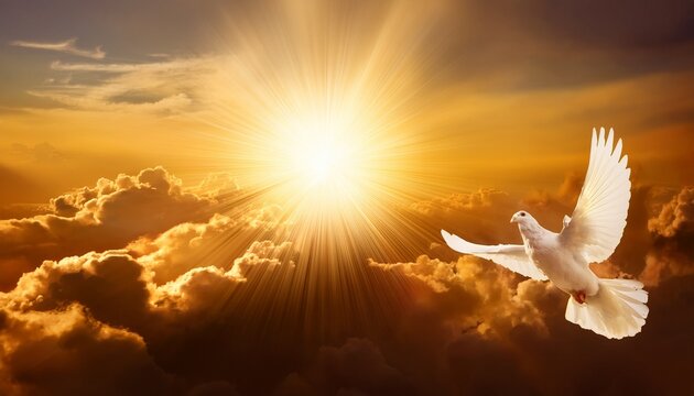 Lumiere Divine Et Colombe Dans Les Nuages Dores