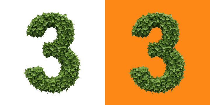 Creative number three made of green leafy branches