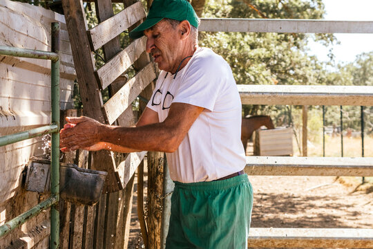 Veterinarian washing hands at rural stable after exam
