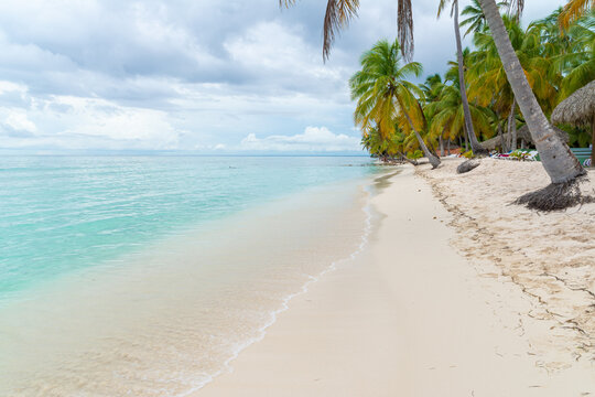 Tropical beach on Saona Island with palms and turquoise sea